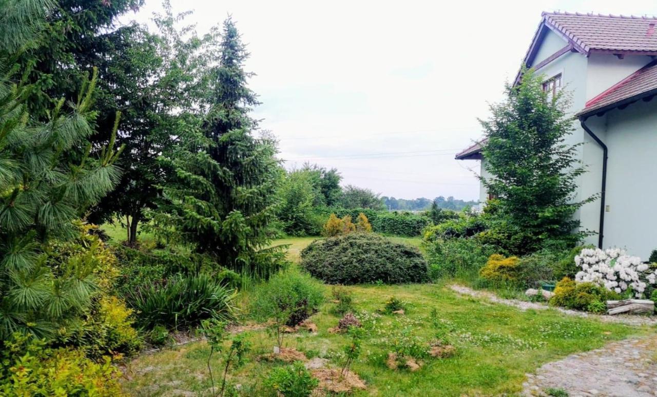 Apartamenty Zielona Gora Екстериор снимка