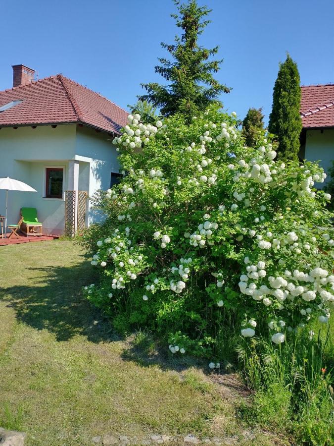 Apartamenty Zielona Gora Екстериор снимка