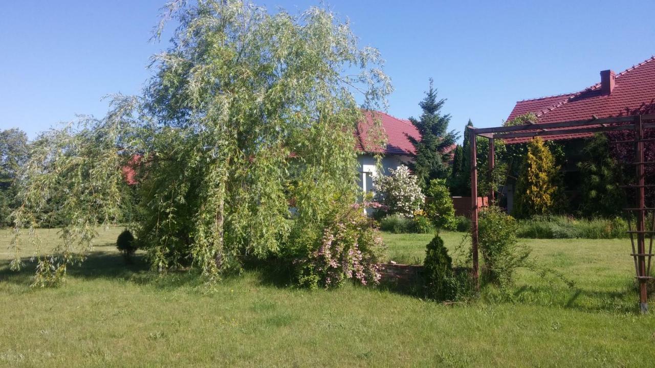 Apartamenty Zielona Gora Екстериор снимка